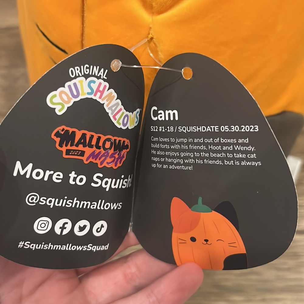 🎃 Pumpkin Cam Cat Mallow Mash Select Series Original Squishmallows 12” BNWT - Picture 7 of 8